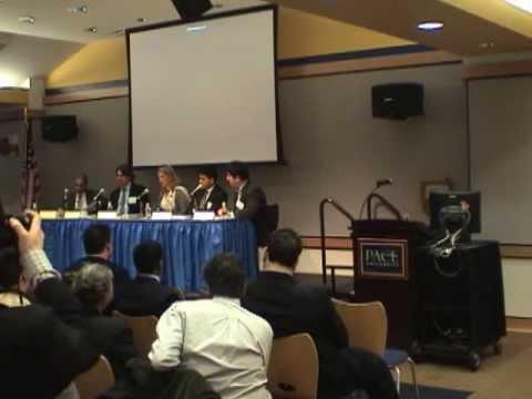 2009 Sixth Annual Pace Business Plan Competition - Panel Discussion